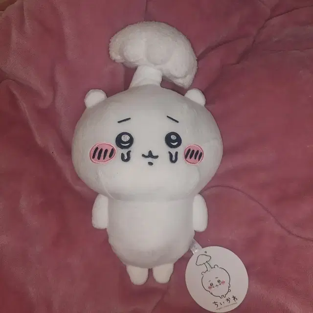 기생버섯 치이카와 인형 대형