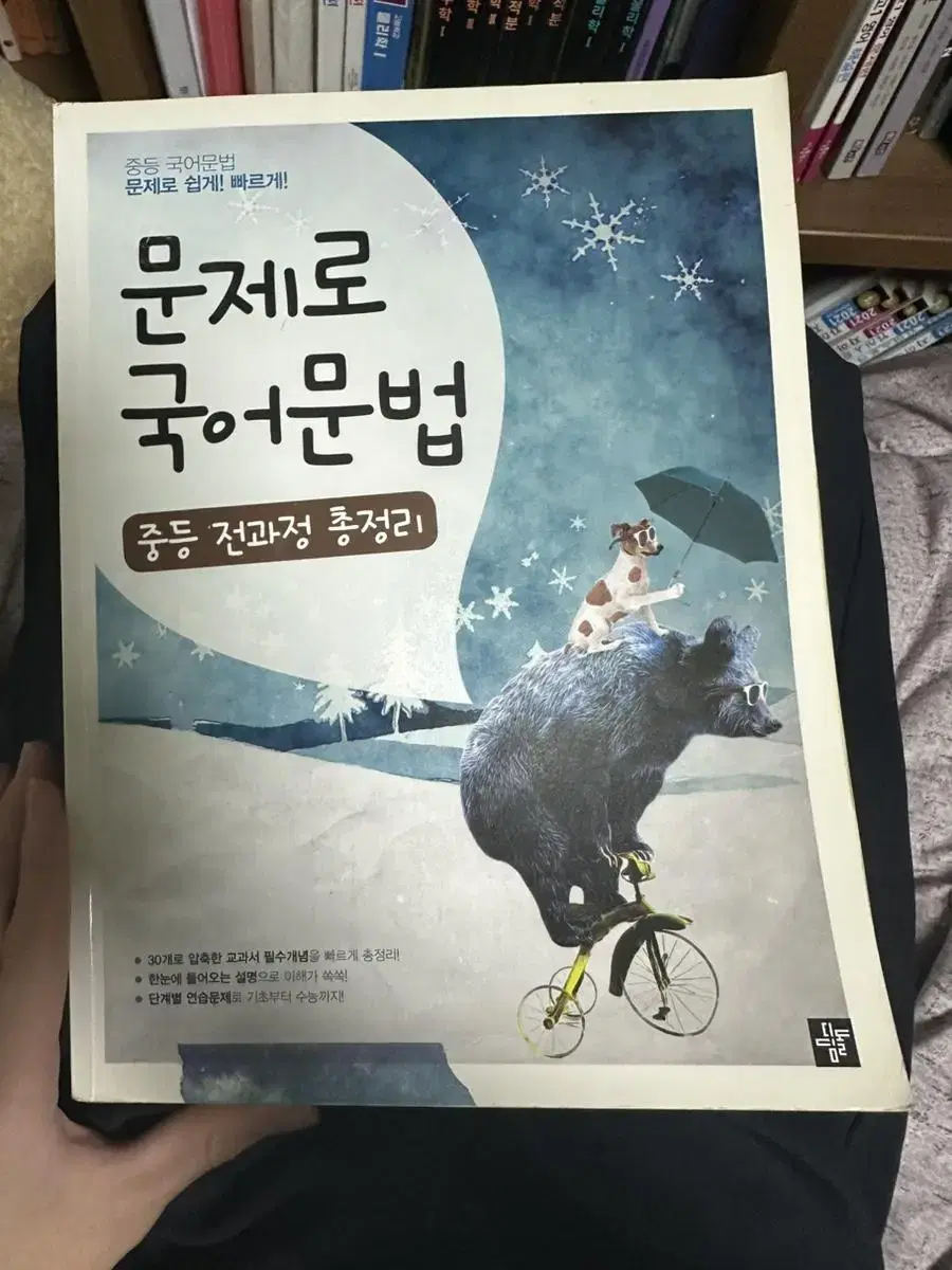 문제로 국어문법