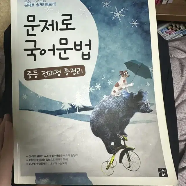 문제로 국어문법