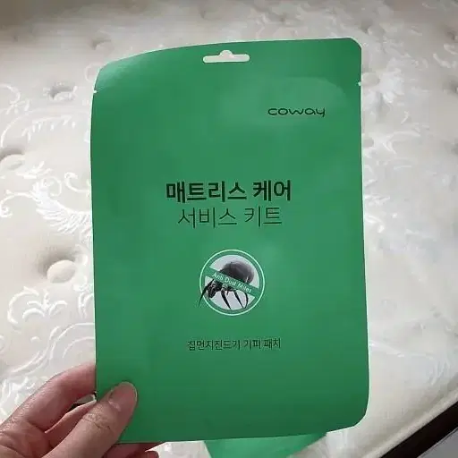 코웨이 진드기패치