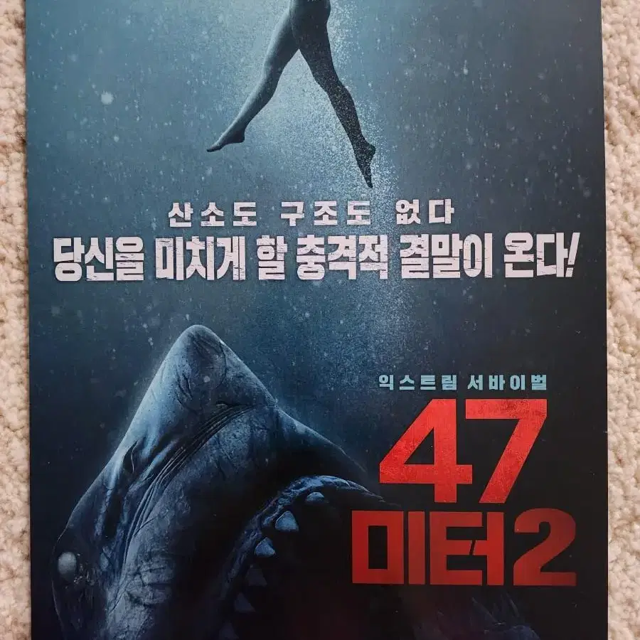 영화팜플렛 영화전단지 47미터2