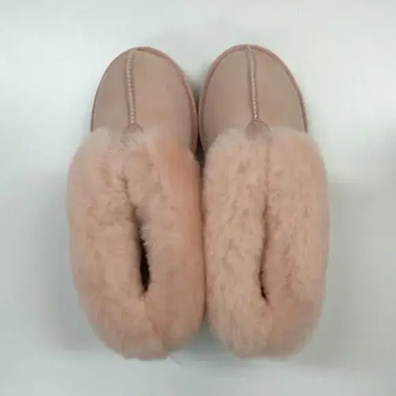 호주UGG 양털 미니부츠 240-245mm팜 새것