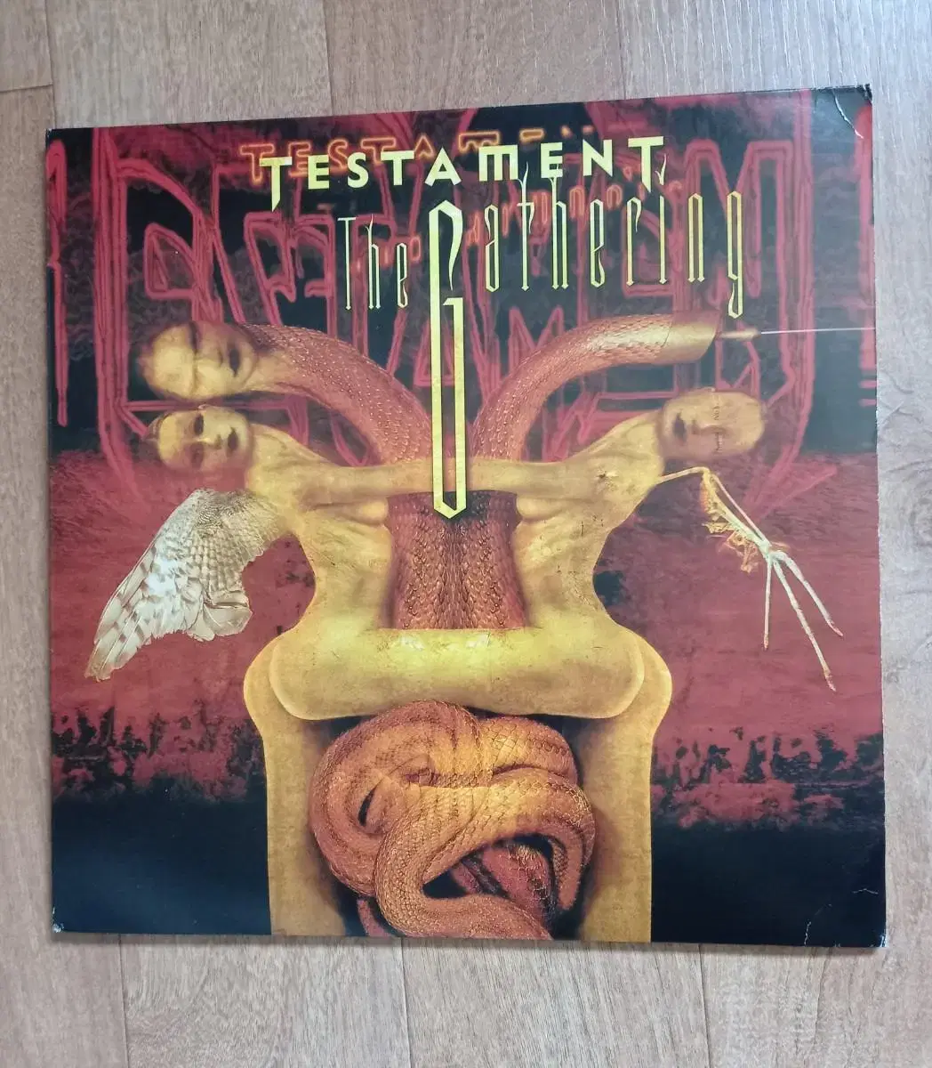 testament 2lp 테스터먼트 수입 엘피