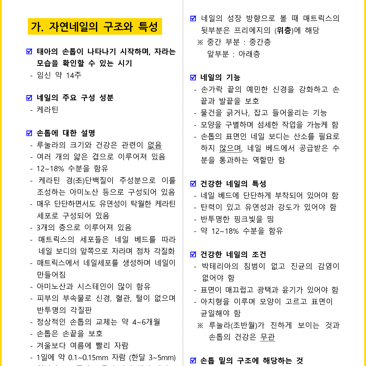 [3일 합격]  2024년 네일미용사 필기 핵심요약서(PDF)