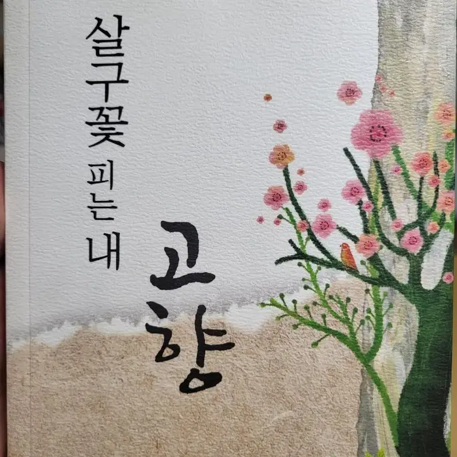 시집 왔어요~ 살구꽃 피는 내 고향