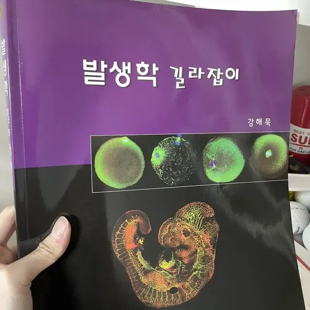 인체생리학 정역학 재료역학 기계공학개론 가계공작법 정밀측정실험 신공차론