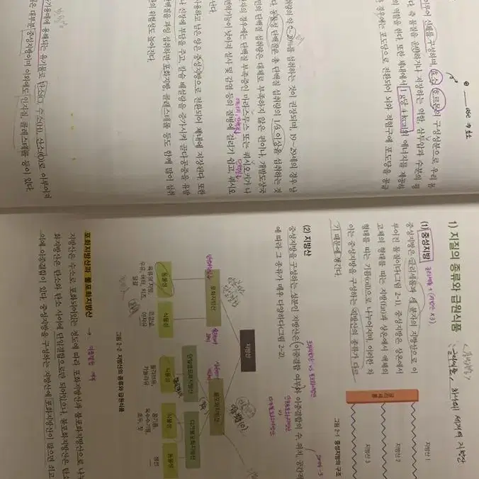 건강한 식생활 대학 교양 교재 이미숙 저 판매합니다.