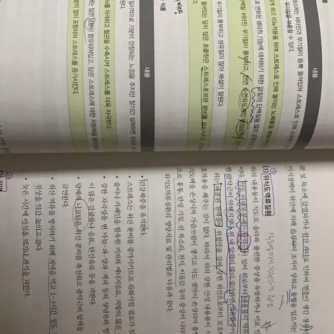 건강한 식생활 대학 교양 교재 이미숙 저 판매합니다.