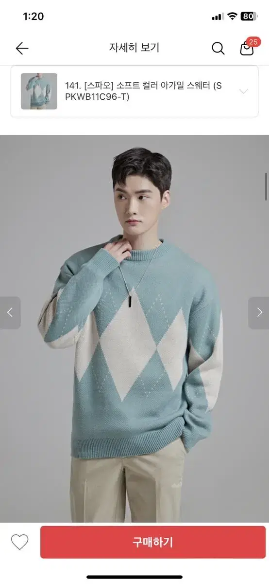 Spao Men's Knit