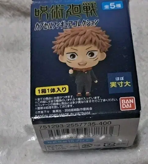 Zuu Spinning Capsule Figure Collection (Collection) Itadori Woozi