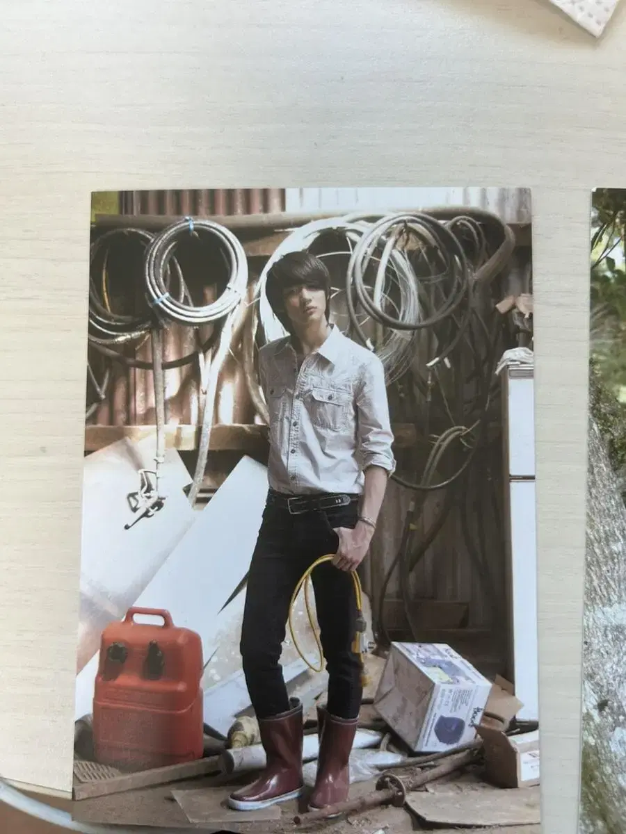 SHINee DAYHwaBo Postcard Photo Minho