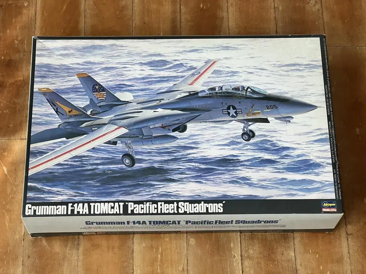 하세가와 F-14A 톰캣 Pacific Fleet Squadron