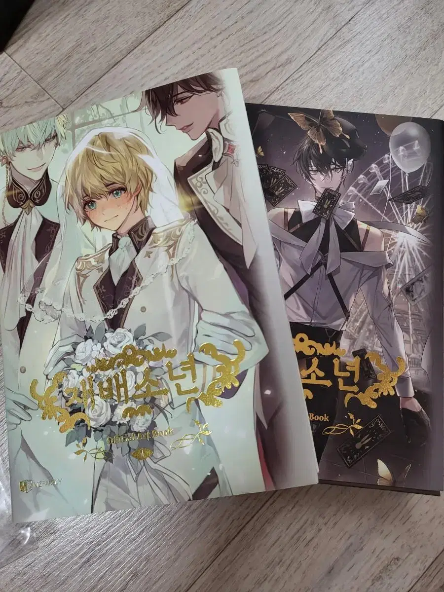 Cultivation Boy Illustrated Book Funding Merchandise sell seed set