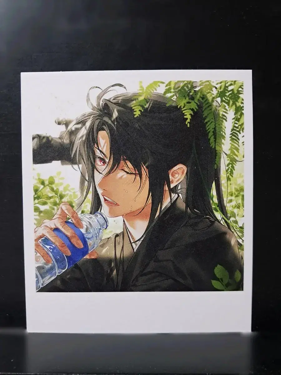 Return of the Blossoming Blade Shinka polaroid Sells