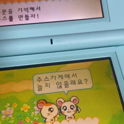 희귀 닌텐도 ds 방가방가 햄토리 칩 판매