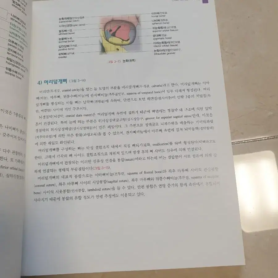 인체해부학 교재