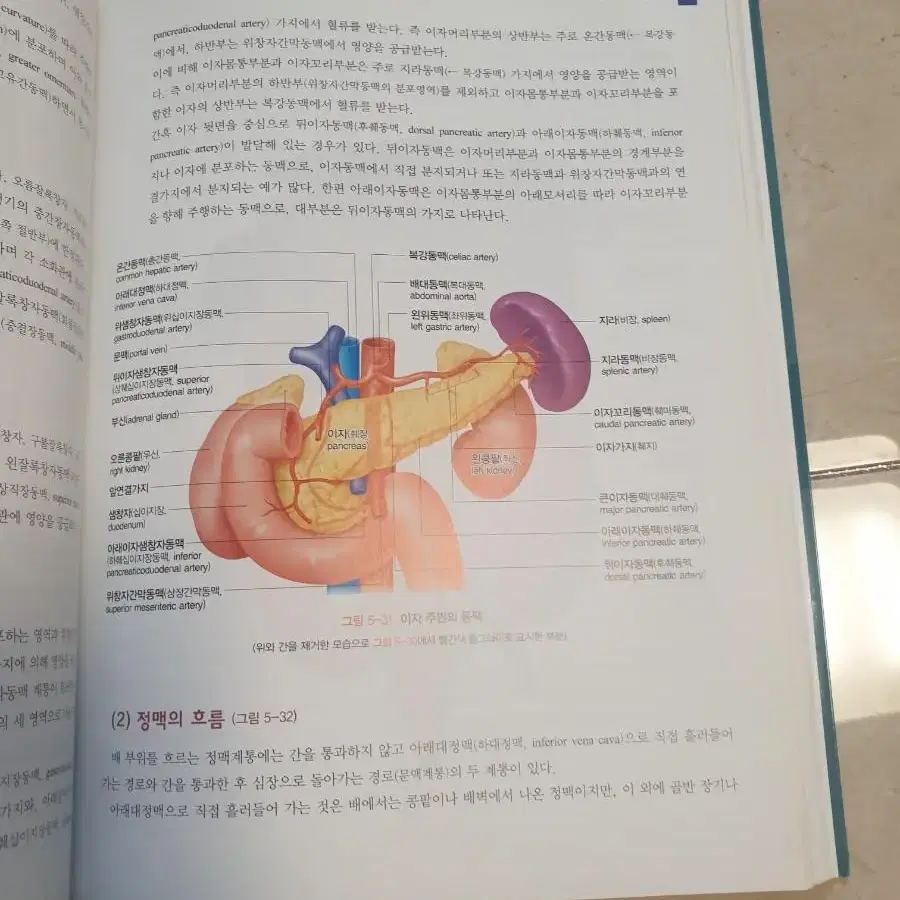 인체해부학 교재