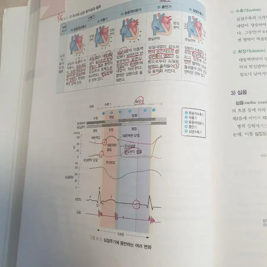 인체생리학 교재