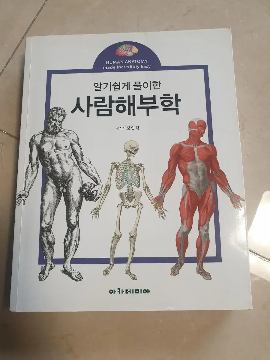 사람해부학 교재