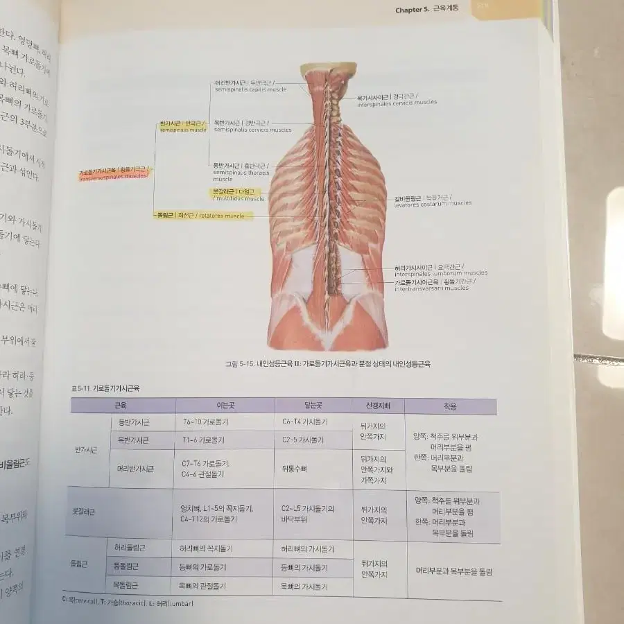 사람해부학 교재