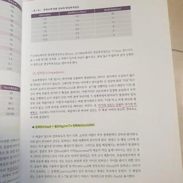 초음파영상학