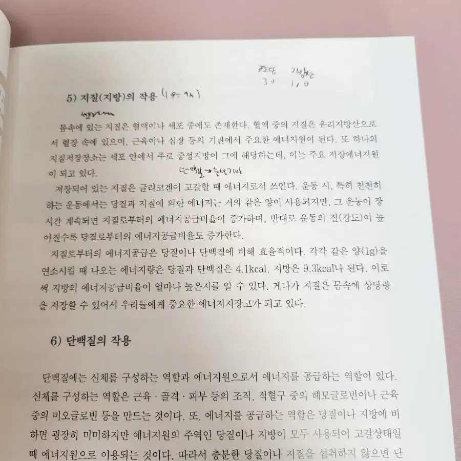 트레이닝 방법론