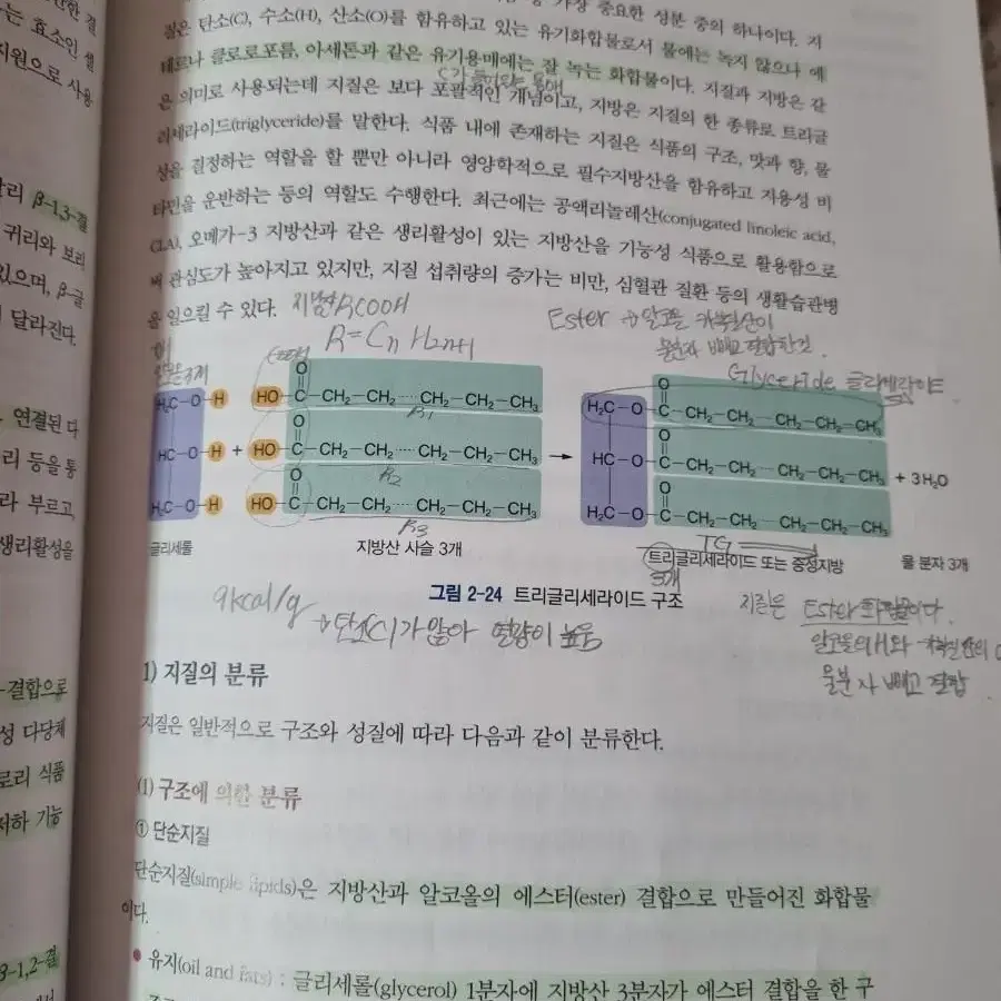 식품학개론