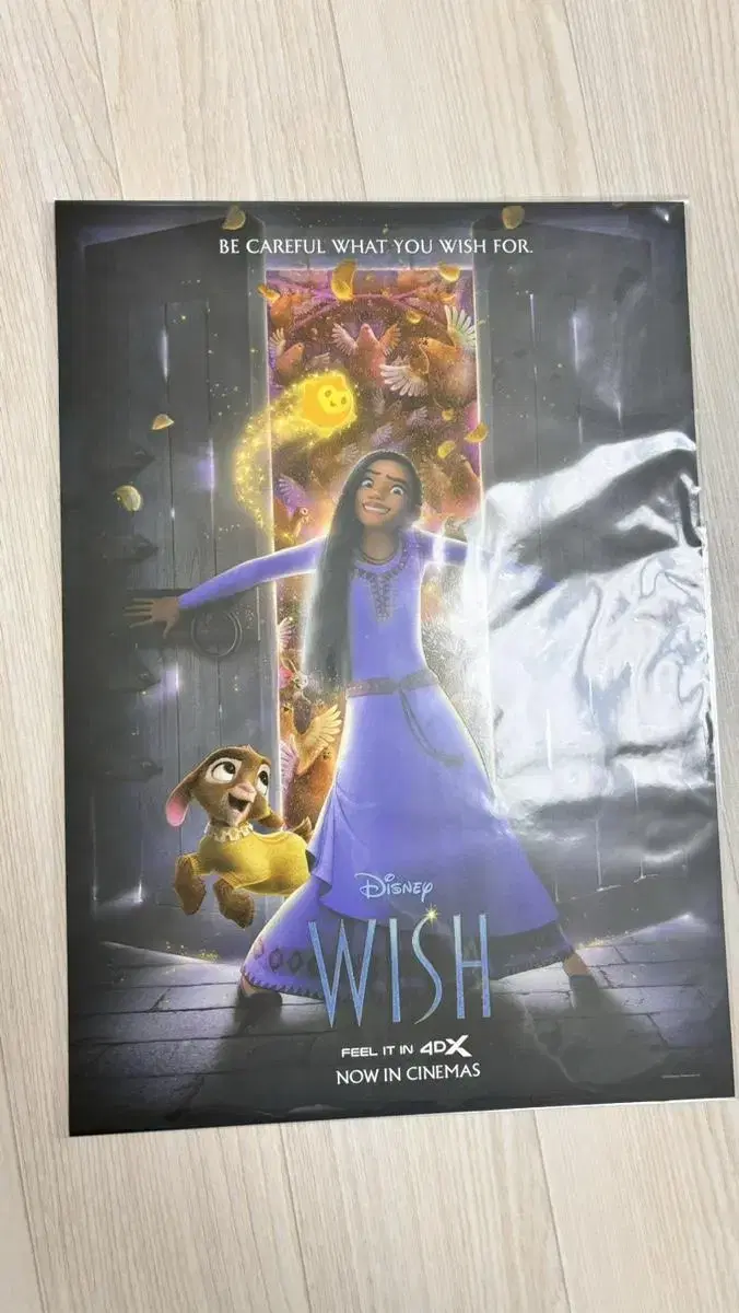 4DX poster for the movie wish 