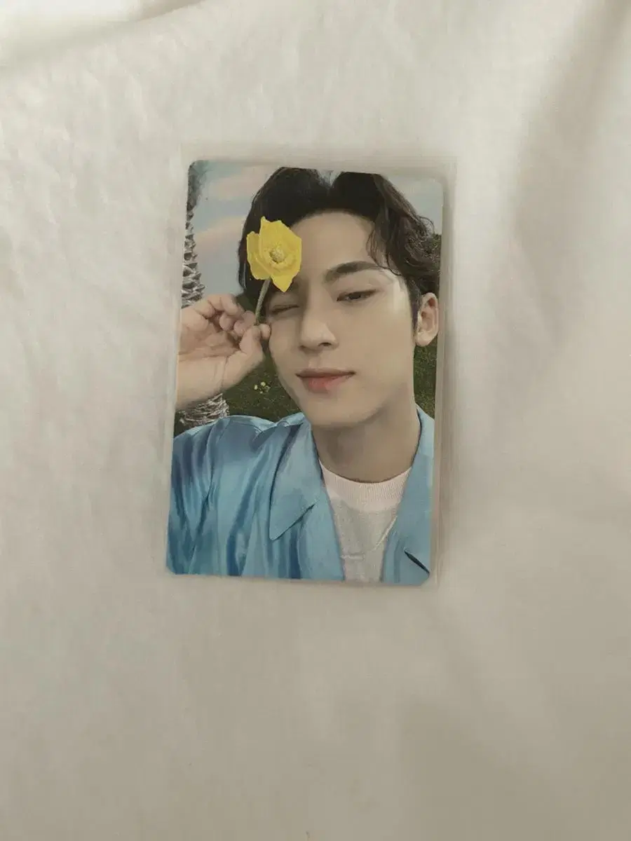 Sector17 mingyu photocard