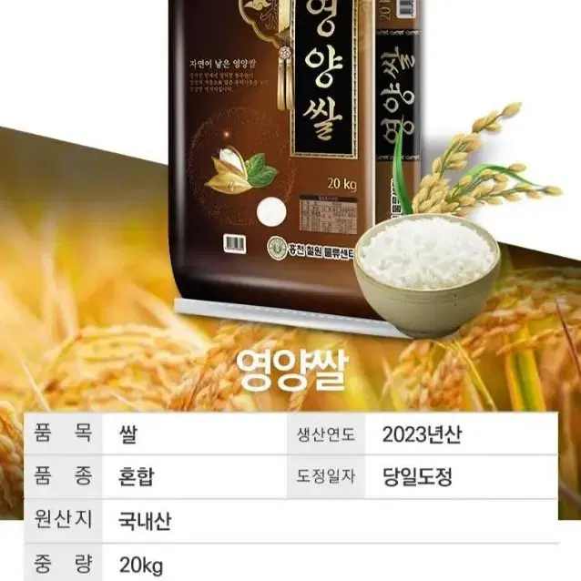 단하루선착순홍천철원맛좋은영양쌀20KG23년햅쌀당일도정39900원