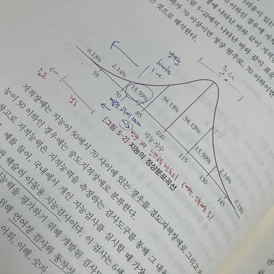 다양한 학습자를 위한 특수교육의 이해 (학지사)