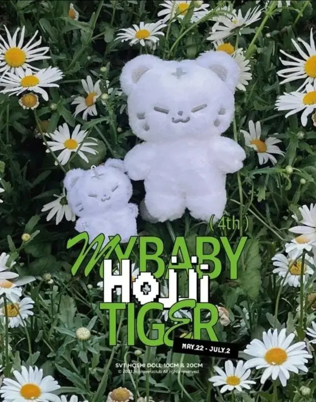 급처)폭덤))세븐틴 hoshi doll 호찌 양도[급전세븐틴미공포럭드인형명찰포카