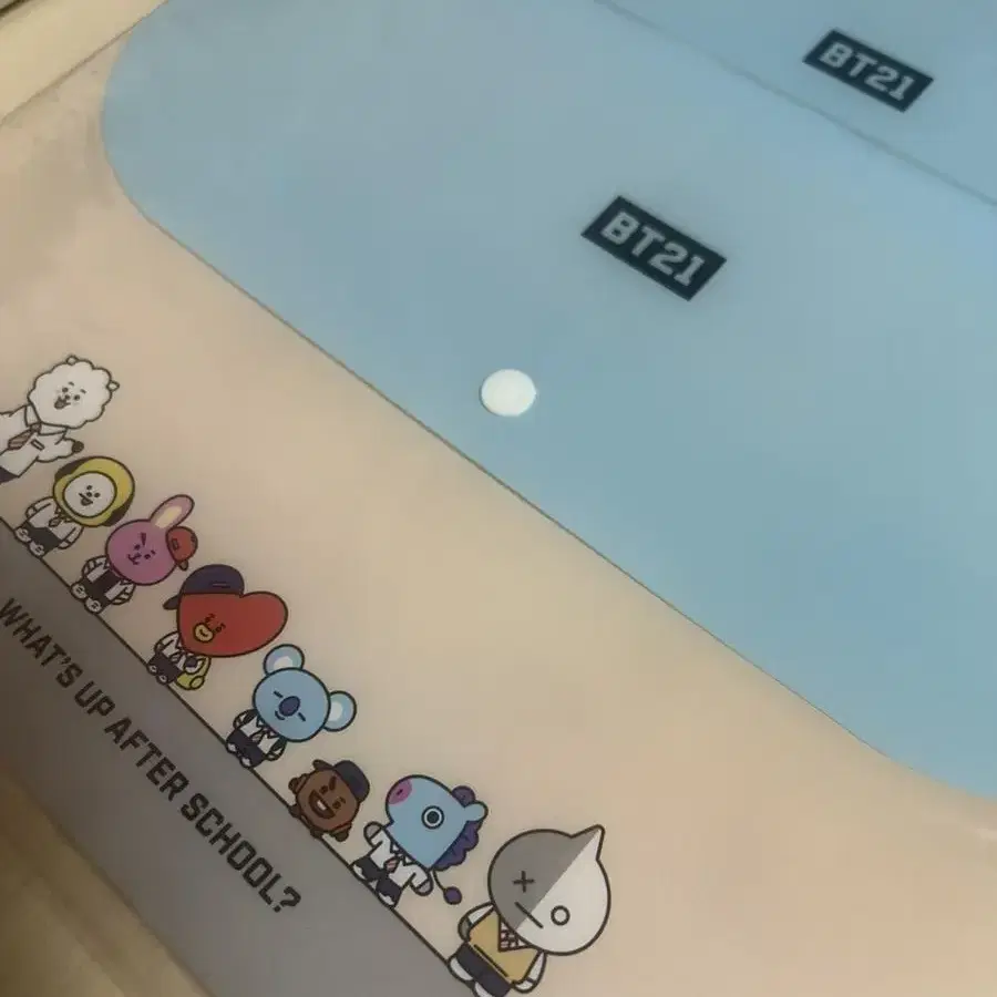 BT21 캐릭터 파일홀더 5포켓