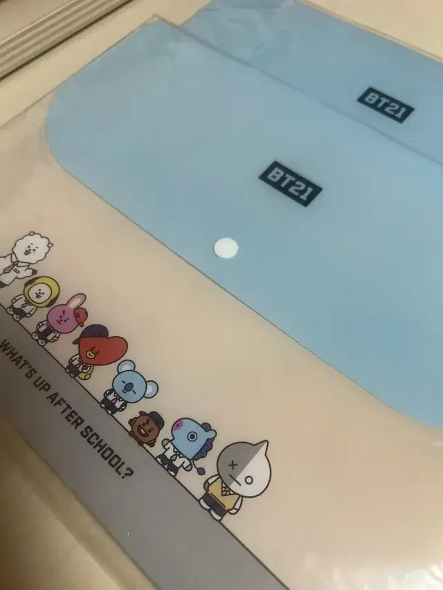 BT21 캐릭터 파일홀더 5포켓