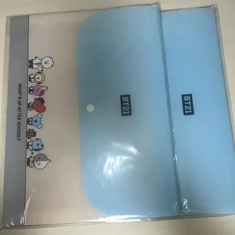 BT21 캐릭터 파일홀더 5포켓