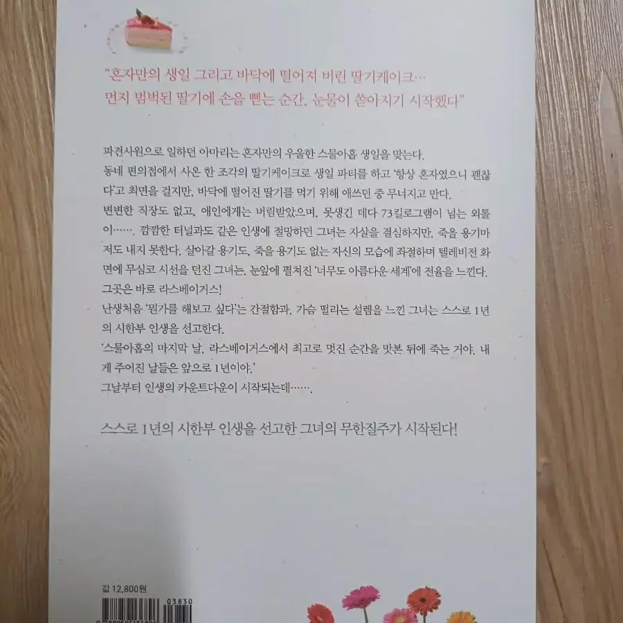 스물아홉 생일 1년 후 죽기로 결심했다