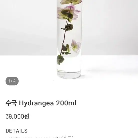 슬로우파마씨 수국 200ml 정상가 39,000원 plant specim