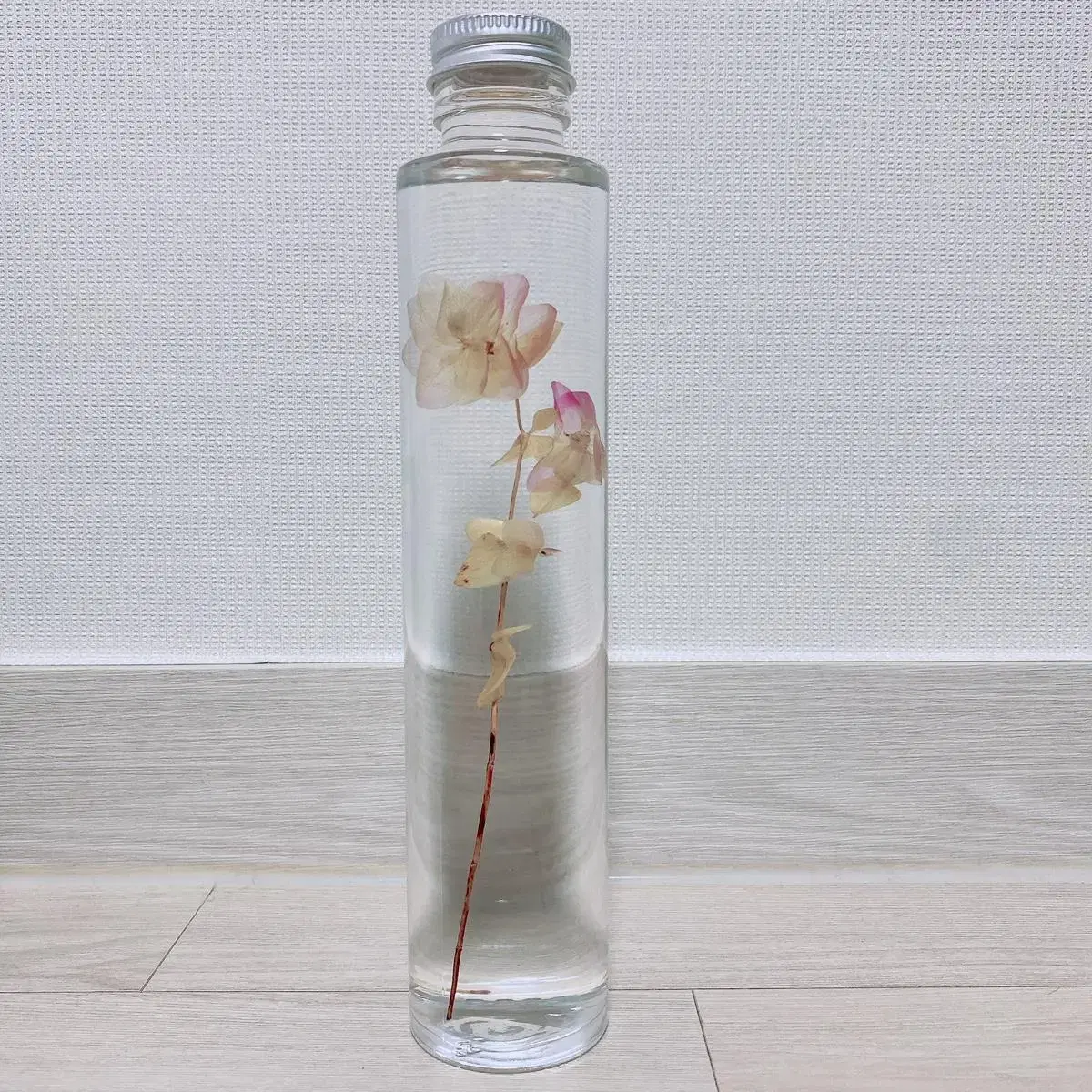 슬로우파마씨 수국 200ml 정상가 39,000원 plant specim