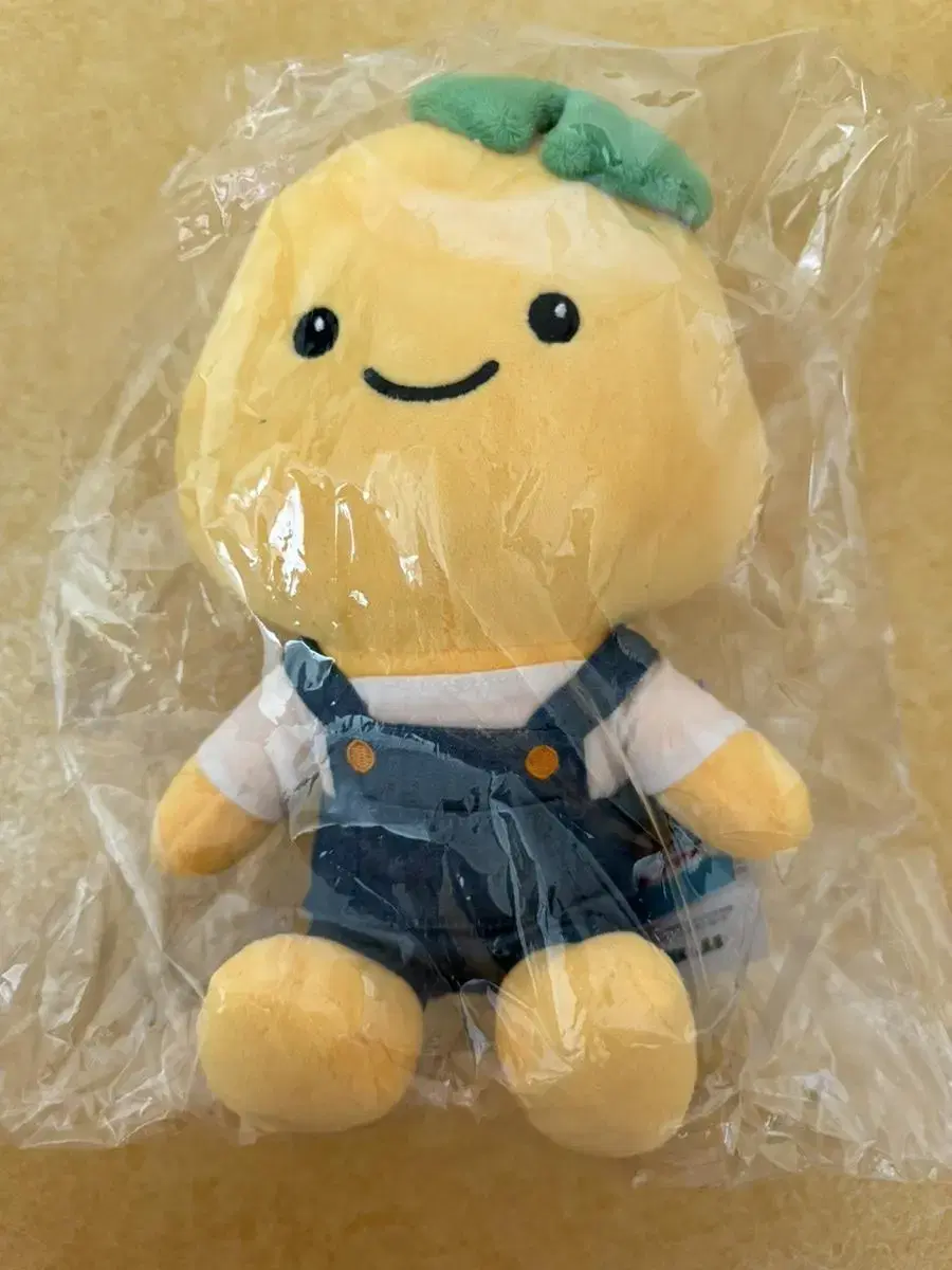 Doll Gyeonggi-do Siheung Mascot Toro the Land Turtle