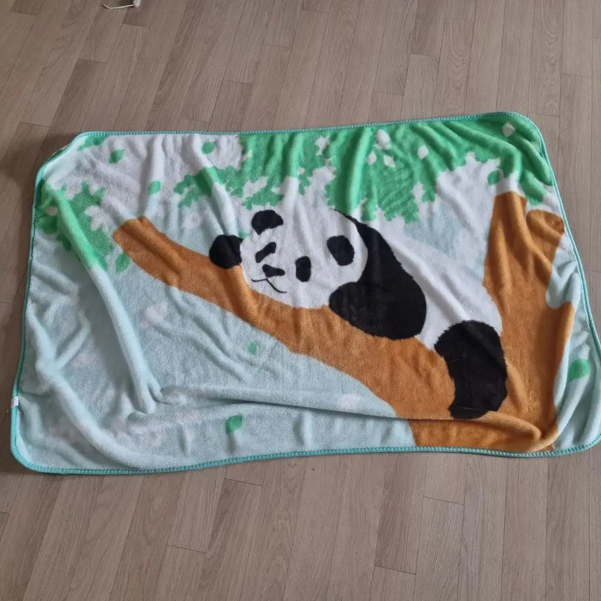 Everland Panda World Pooh Bao Blanket