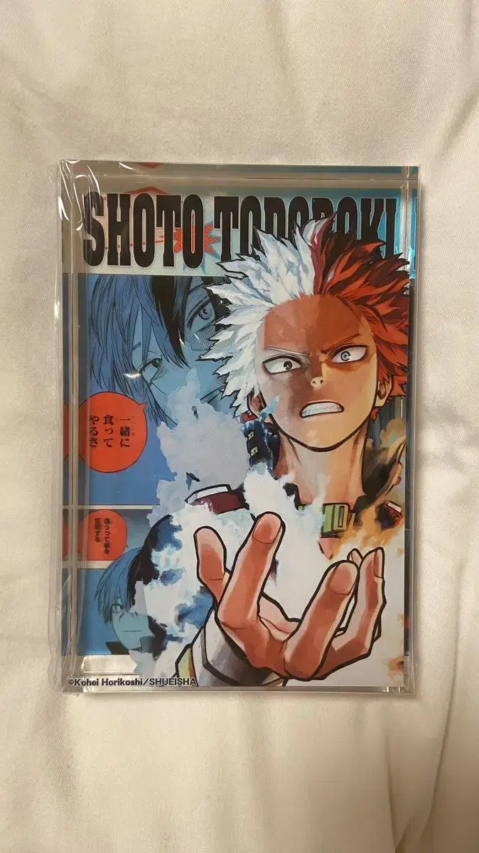 Feeding lol!! Todoroki acrylic Block 2022 Hiroaka Official birthday Blockgoods