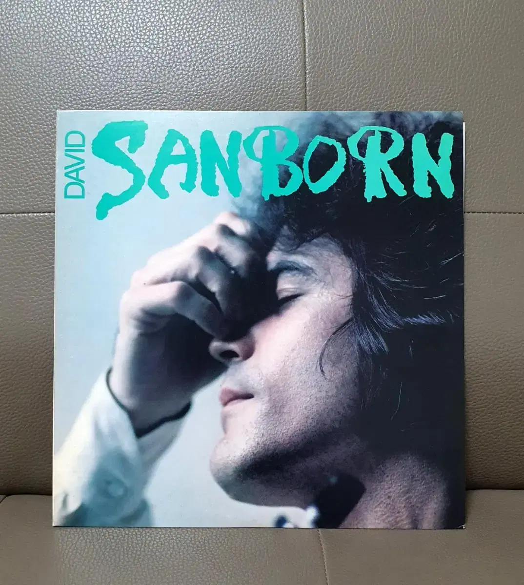 LP ㅡ JAZZ  / David Sanborn 수입원반