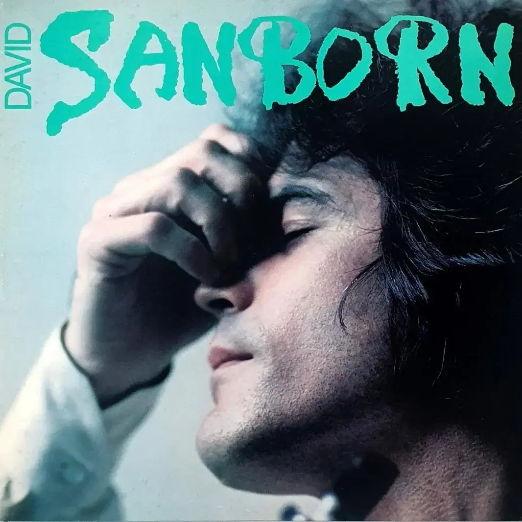 LP ㅡ JAZZ  / David Sanborn 수입원반