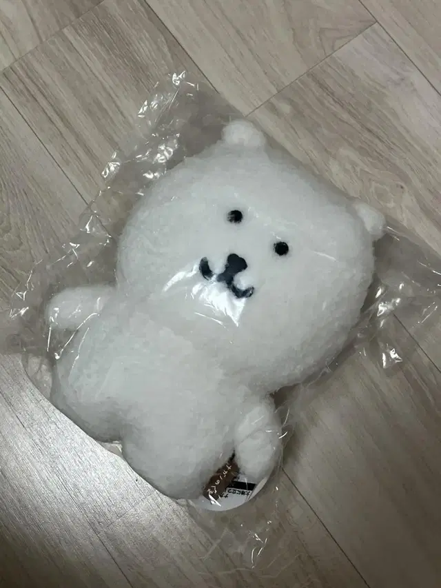 농담곰 스쿳토