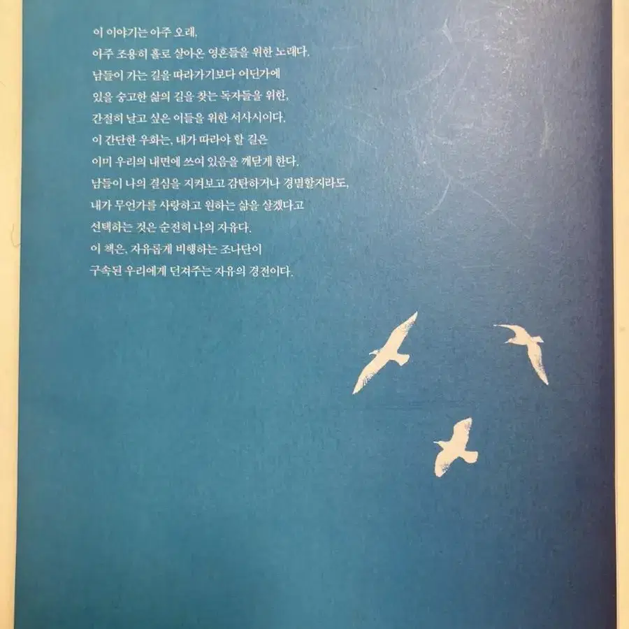 갈매기의 꿈 - 리처드 바크 지음