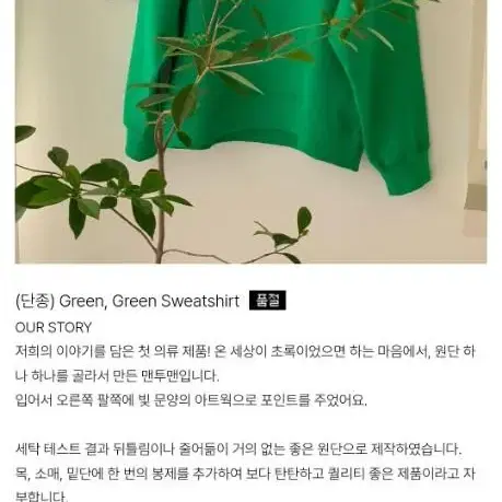 올리베 그린 맨투맨 Green, Green Sweatshirt