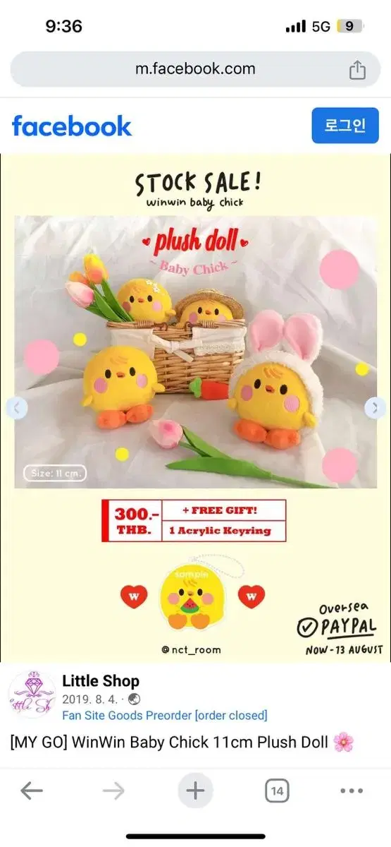 Winwin doll baby chick wts