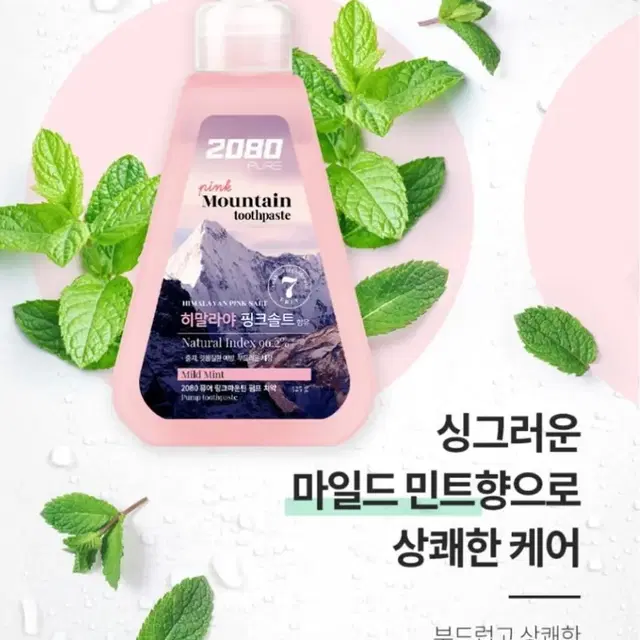 2080 핑크솔트 펌핑치약 325g 2개