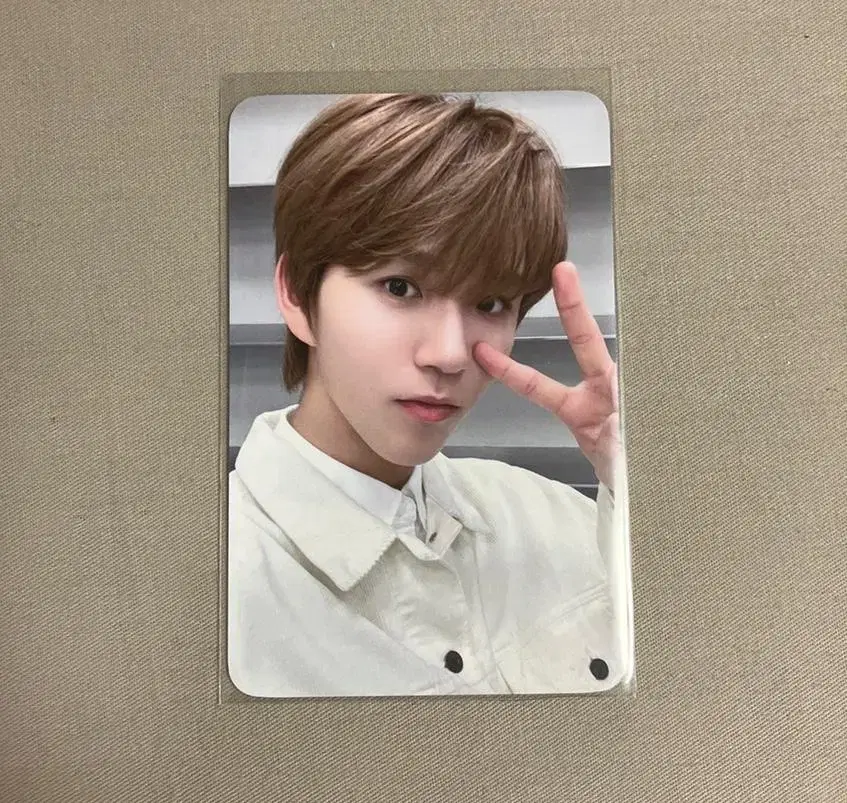 NCT wish Jaehee everline ld album photocard WTS