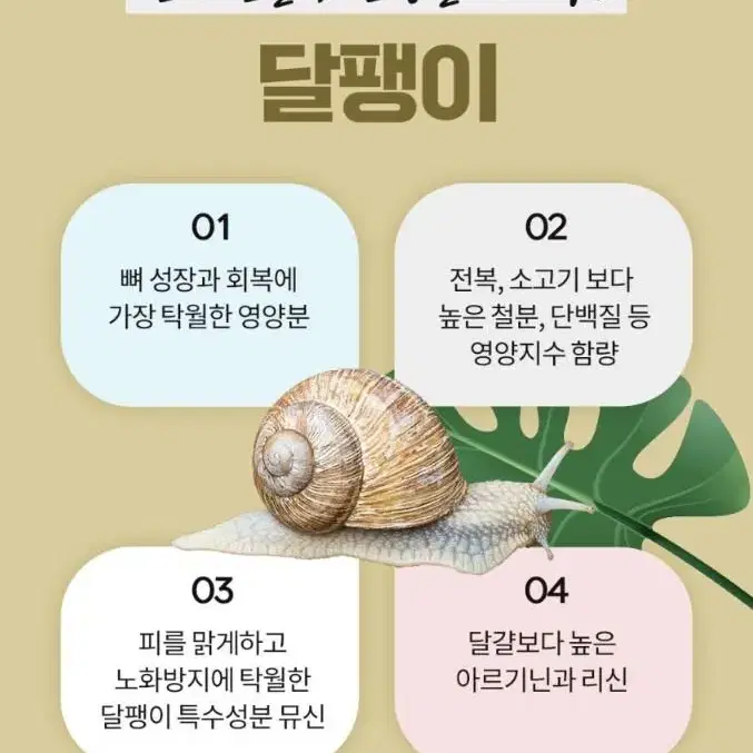 자연가치 파주 달팽이즙 진액 80ml 30포